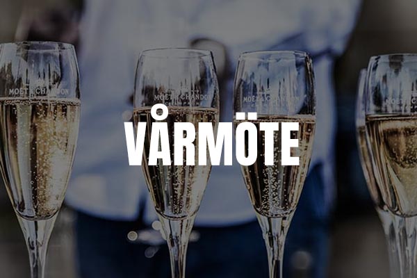 Vårmöte 4.4.2024